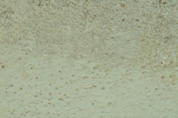 Cracked plaster