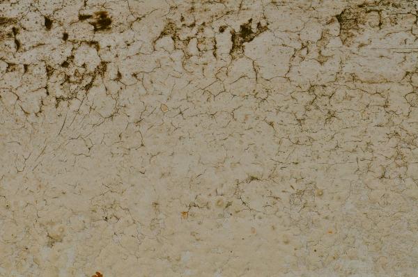 Cracked plaster