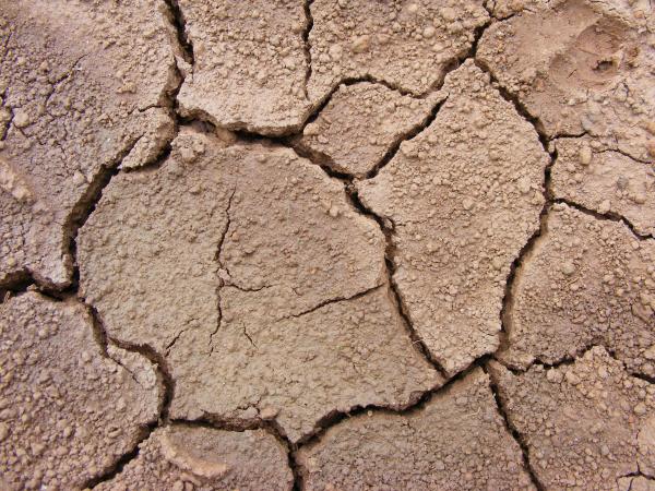 Cracked Soil Texture