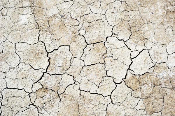 Dry Soil Background