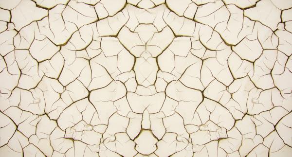 Cracked Texture