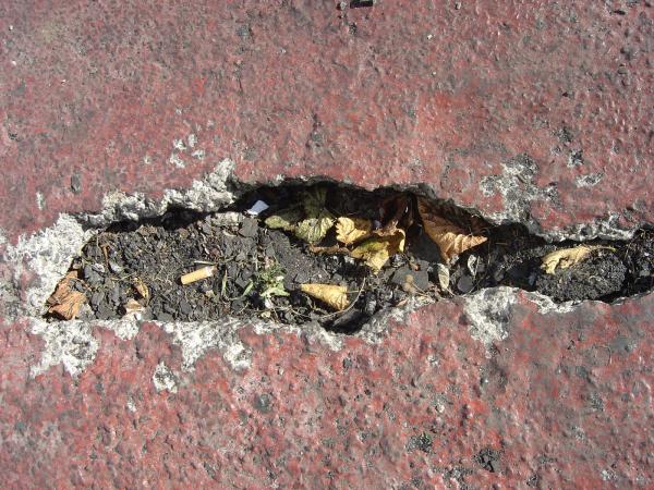 Cracked wall