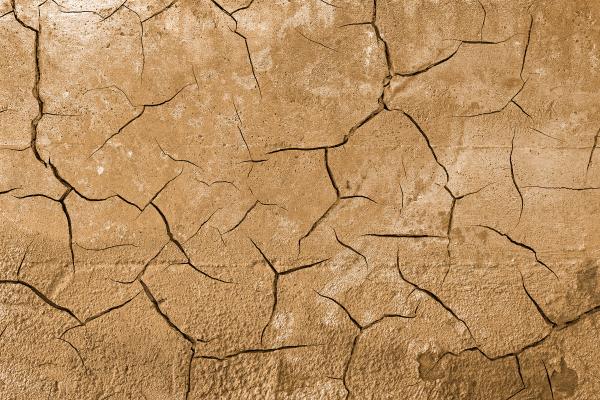 Cracked Wall Decay - Photomanipulated Texture