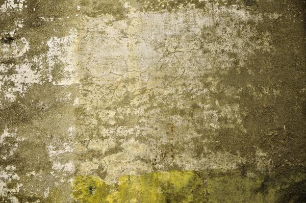 Cracked wall texture