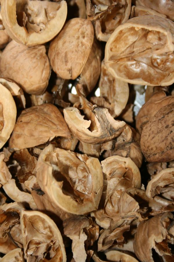Cracked walnuts