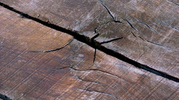 Cracked Wood