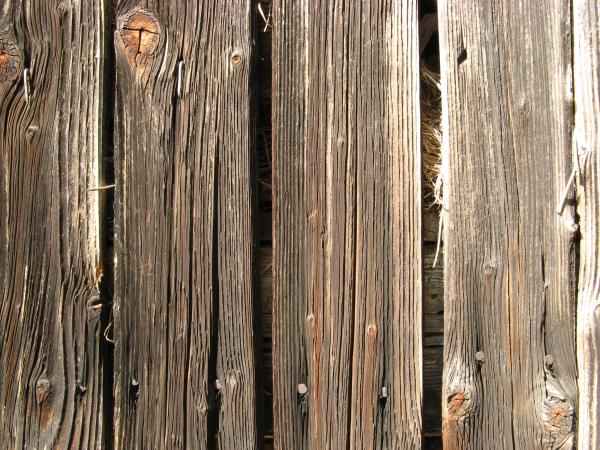 Cracked Wood Texture