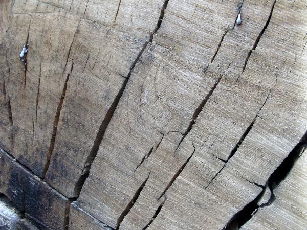 Cracked Wood