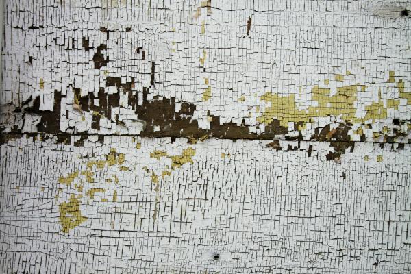 Cracked Wood Texture