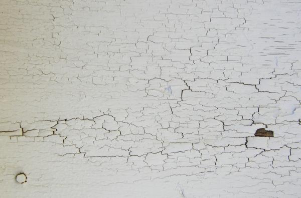 Cracked Wood Texture