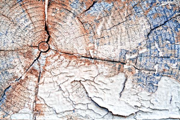 Cracked Wood Texture