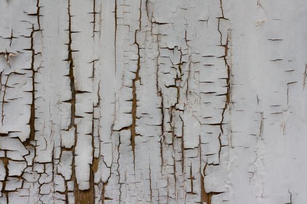 Grunge Wood Texture