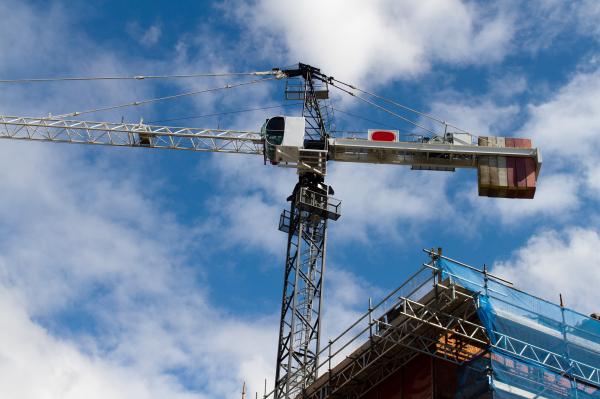 Crane