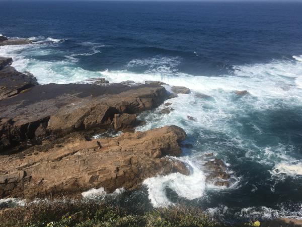Crashing Waters off of Flagstaff Point