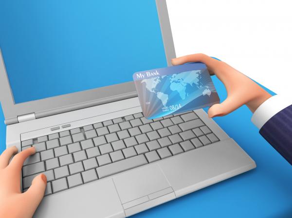 Credit Card Represents World Wide Web And Business 3d Rendering