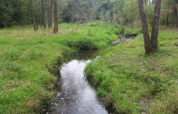 Creek