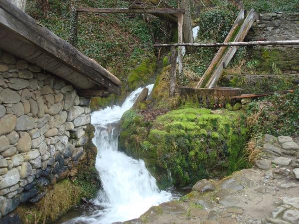 Creek by the mountain hut