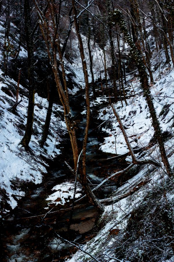 Creek in the winter