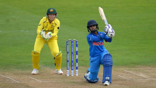Cricket