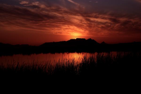 Crimson Sunset