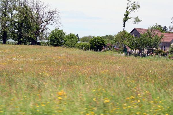 Crossing a field