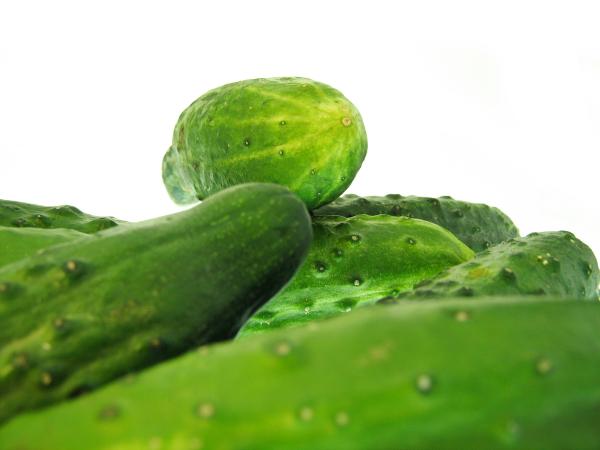 Cucumbers
