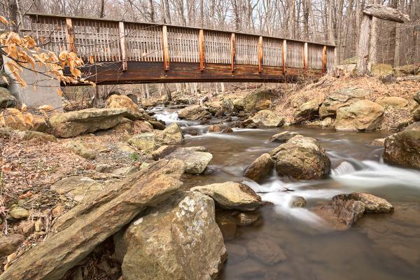 Cunningham Forest Bridge & Stream - HDR