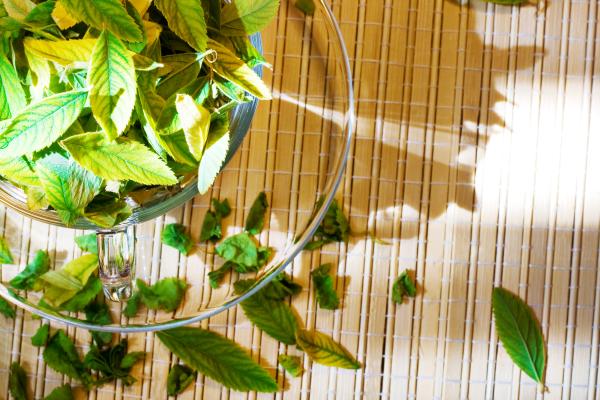 Cup with leaves