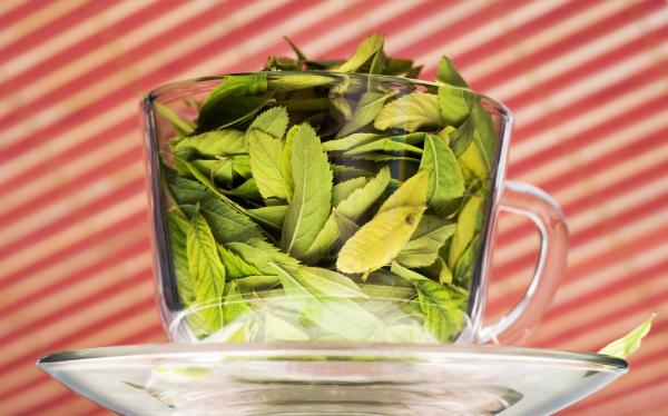 cup with leaves