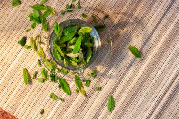 cup with leaves