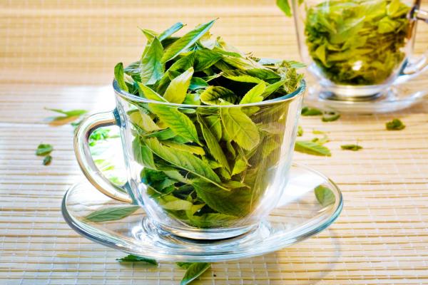 Cup with leaves