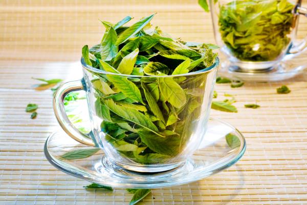 Cup with leaves