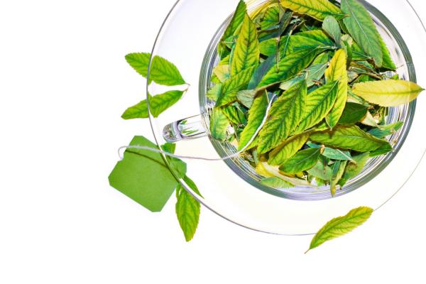 Cup with leaves