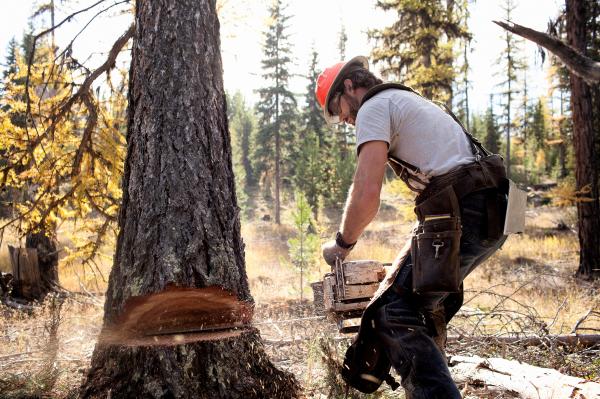 Cutting Wood