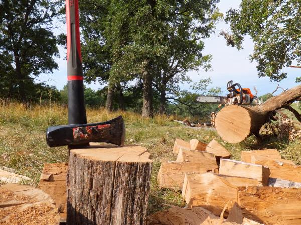 Cutting woods