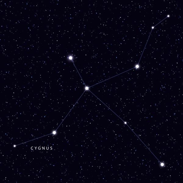 Cygnus