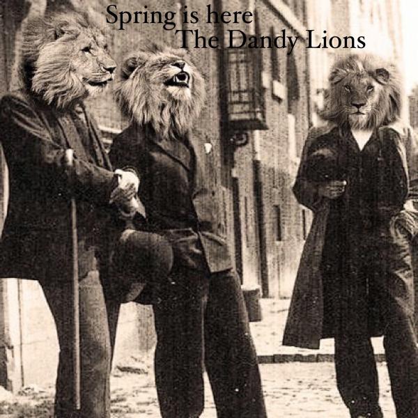 Dandy Lions