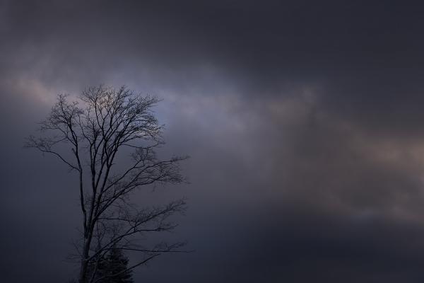 Dark