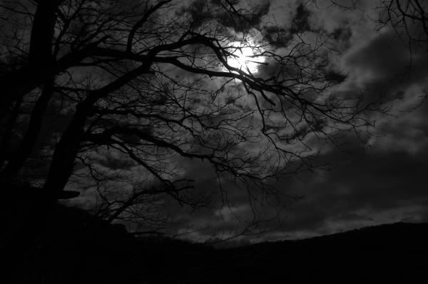 Dark