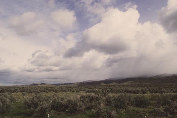 Dark green field under fluffy clouds