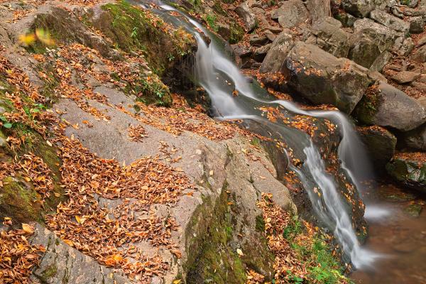 Dark Hollow Falls - HDR