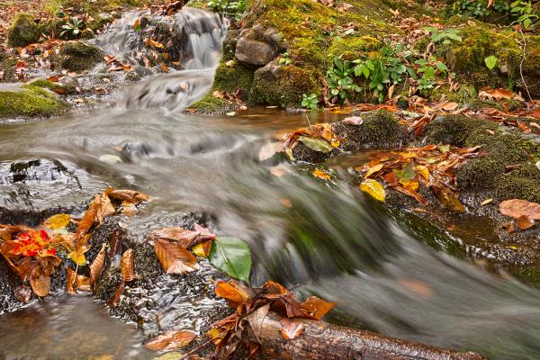 Dark Hollow Falls Stream - HDR