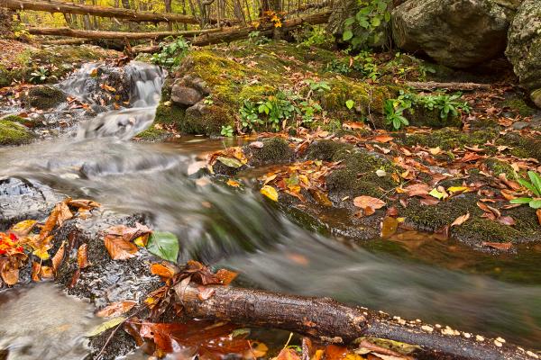 Dark Hollow Falls Stream - HDR