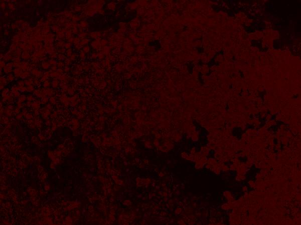 Dark Red Grunge Texture