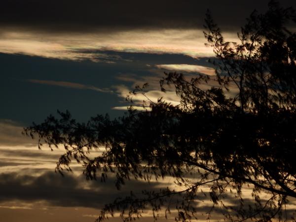 Dark Skies Silhouette