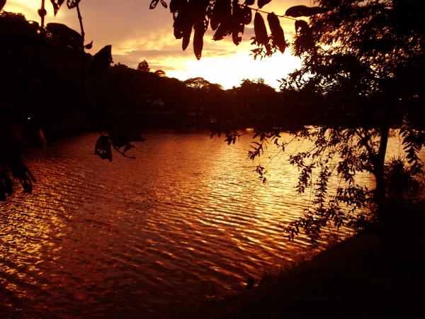 Darknes of the Kandy Lake