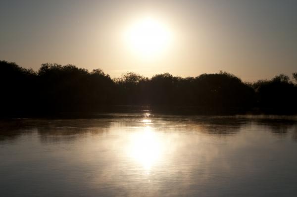 Dawn