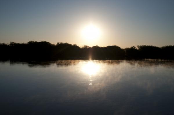 Dawn