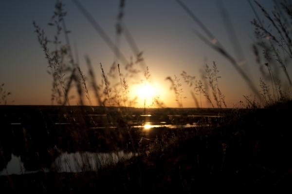 Dawn