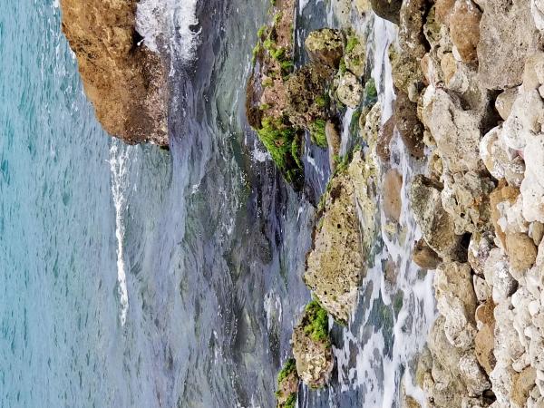 Day 128 Blue Bay Curacao